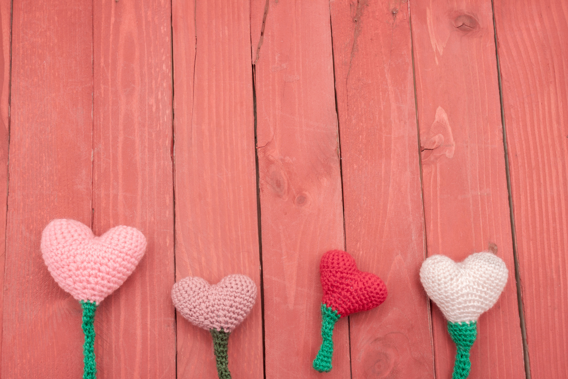 saint valentine hearted flower