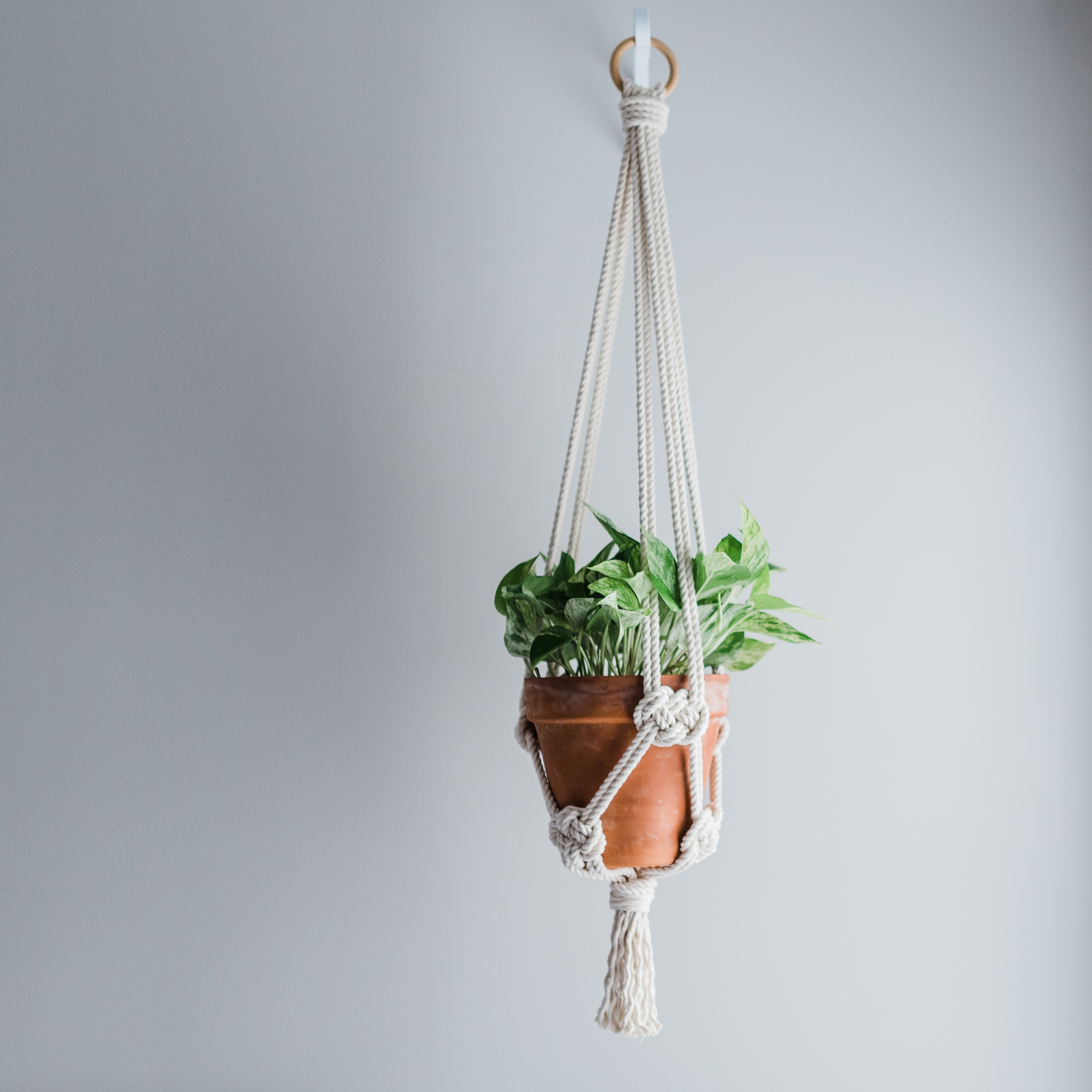 Macrame Plant Hanger